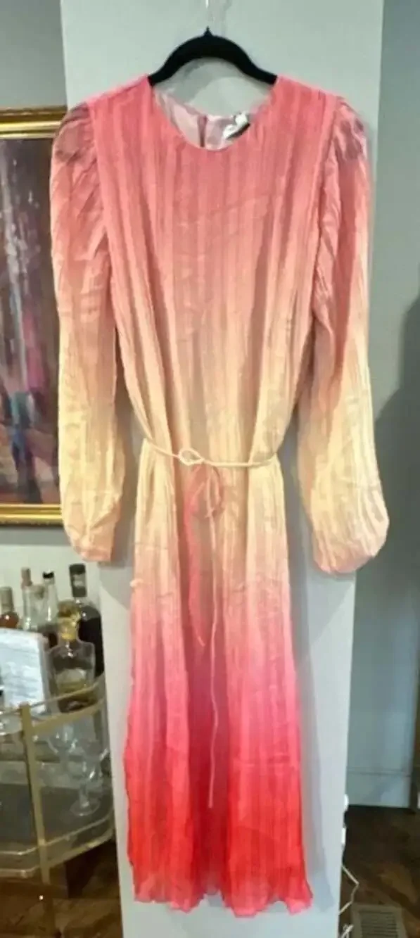 Something Navy Pleated Long Sleeve Ombre Dress Pink Combo midi XS NEW